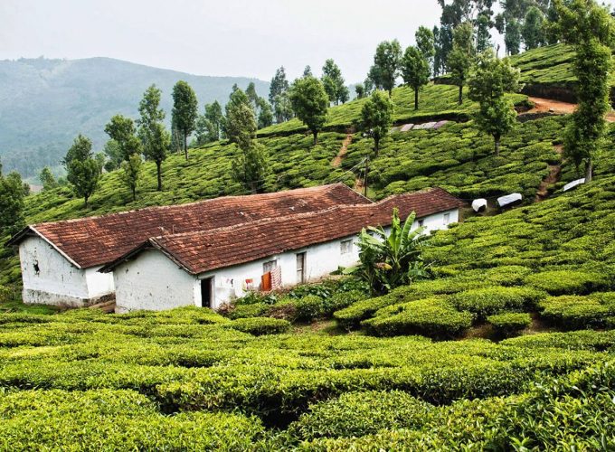 Best South India Tour Packages For Affordable Price with Himalayan Route.